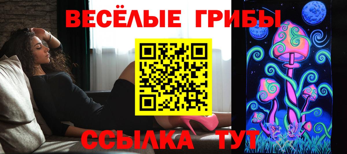 Галлюциногенные грибы Psilocybe Новый Уренгой
