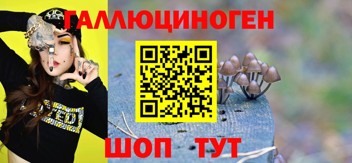 Псилоцибиновые грибы ЛСД  Вход с VPN  Новый Уренгой 